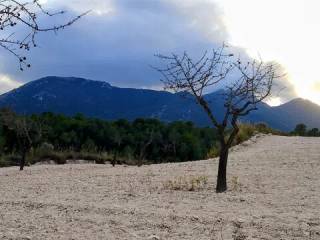 Vistas