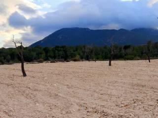 Vistas