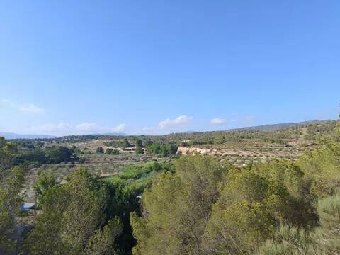 Vistas