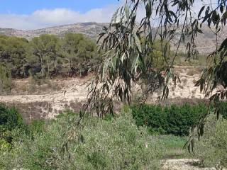 Jardín