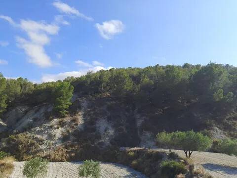 Vistas