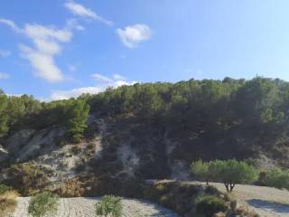 Vistas