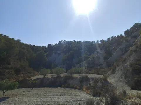 Vistas