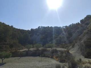 Vistas