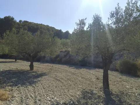 Jardín