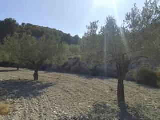 Jardín