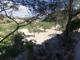 Vistas