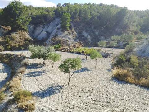 Vistas