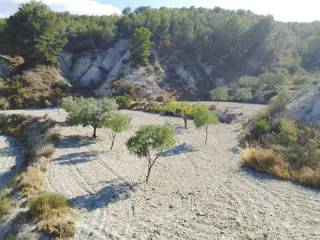 Vistas