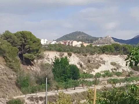 Vistas