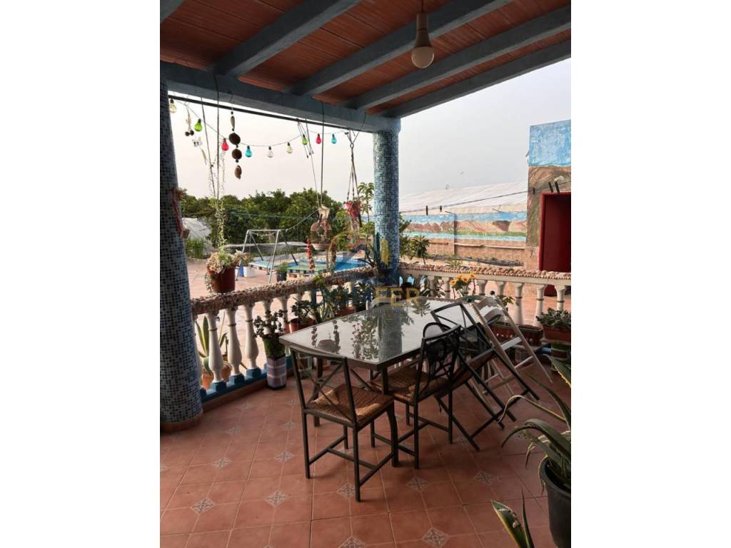Terraza