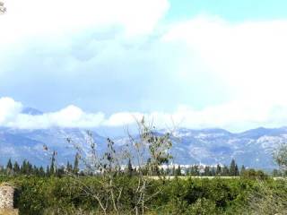 Vistas