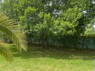 Jardín
