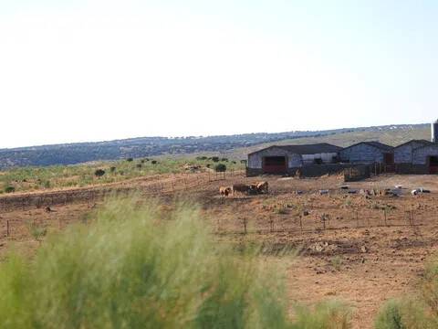 Vistas