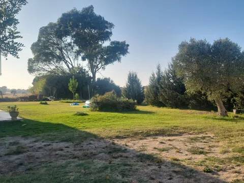 Jardín