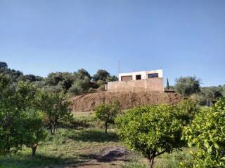 Jardín