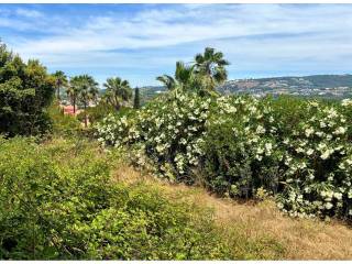Jardín