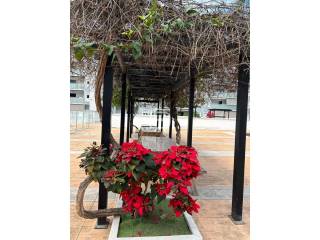 Jardín
