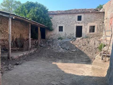 Jardín