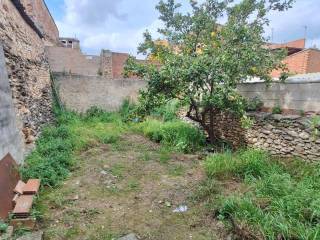 Jardín