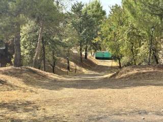Entrada/Salida