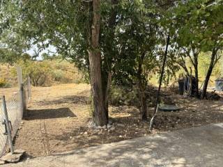 Jardín