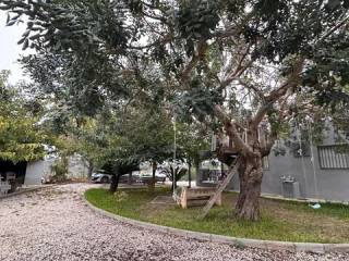 Jardín