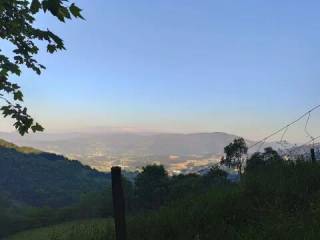 Vistas