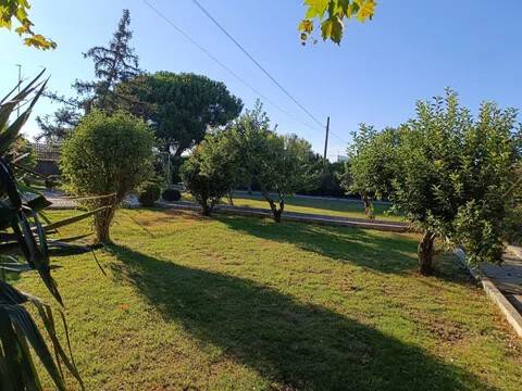 Jardín