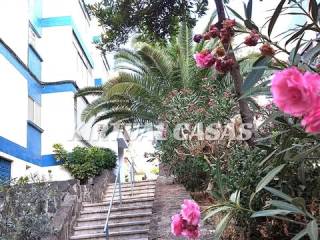 Jardín