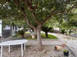 Jardín