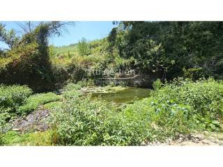 Jardín