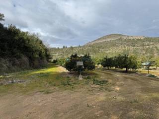 Jardín
