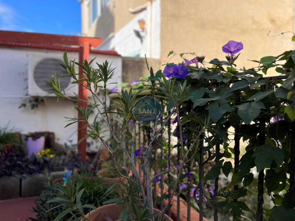 Jardín