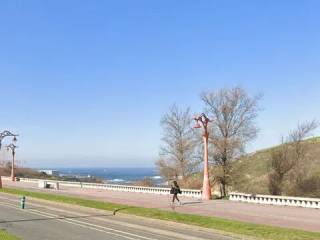 Vistas