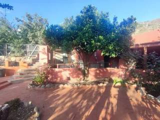 Jardín