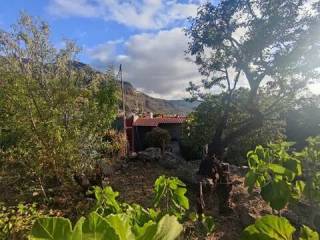 Jardín