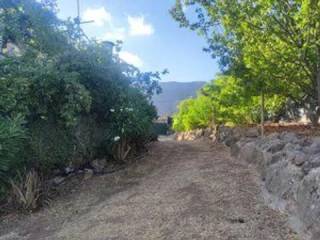 Jardín