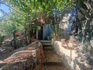 Jardín