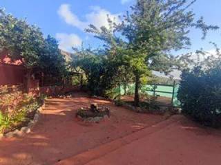 Jardín