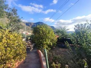 Jardín