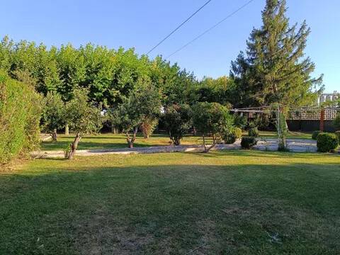 Jardín