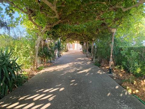 Jardín