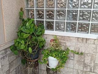 Jardín