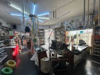 Bodega