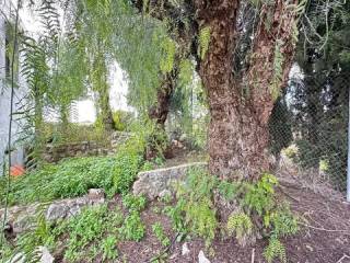 Jardín