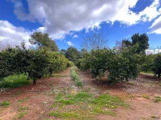 Jardín