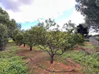 Jardín