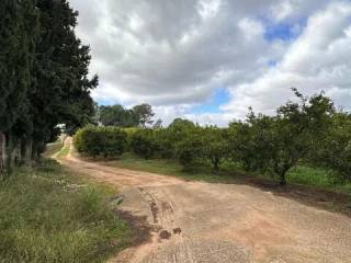 Jardín