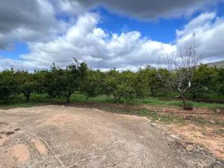 Jardín